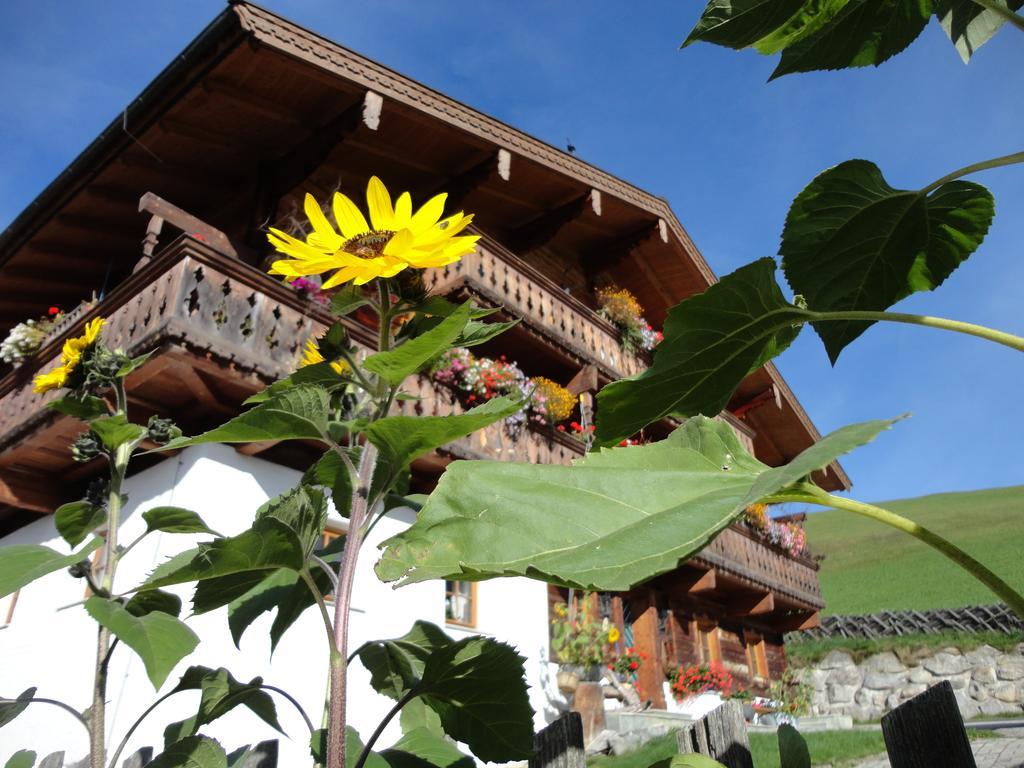 Apartmán Gastehaus Biobauernhof Brennsteinhof Mittersill Exteriér fotografie